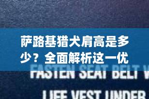 萨路基猎犬肩高是多少？全面解析这一优雅猎犬的体型标准