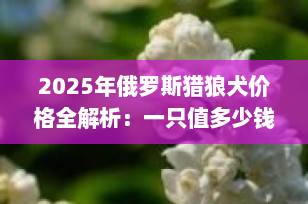 2025年俄罗斯猎狼犬价格全解析：一只值多少钱？是否值得入手？