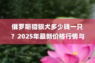 俄罗斯猎狼犬多少钱一只？2025年最新价格行情与饲养全攻略
