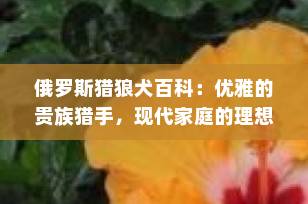 俄罗斯猎狼犬百科：优雅的贵族猎手，现代家庭的理想伴侣