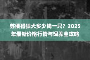 苏俄猎狼犬多少钱一只？2025年最新价格行情与饲养全攻略