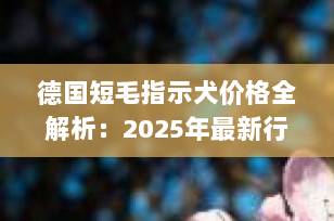 德国短毛指示犬价格全解析：2025年最新行情与选购指南