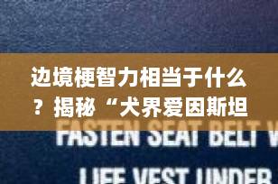 边境梗智力相当于什么？揭秘“犬界爱因斯坦”的智商真相