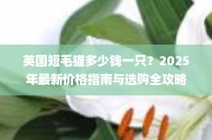 英国短毛猫多少钱一只？2025年最新价格指南与选购全攻略