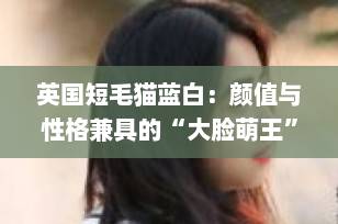 英国短毛猫蓝白：颜值与性格兼具的“大脸萌王”，好养又治愈的家庭理想宠！