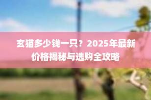 玄猫多少钱一只？2025年最新价格揭秘与选购全攻略