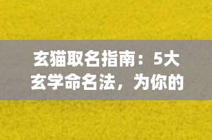 玄猫取名指南：5大玄学命名法，为你的猫咪注入好运能量！