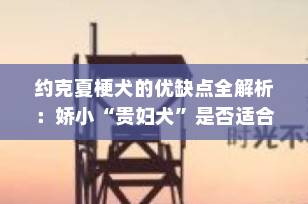 约克夏梗犬的优缺点全解析：娇小“贵妇犬”是否适合你？