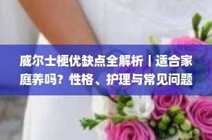 威尔士梗优缺点全解析｜适合家庭养吗？性格、护理与常见问题一文看懂