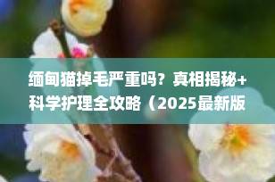 缅甸猫掉毛严重吗？真相揭秘+科学护理全攻略（2025最新版）