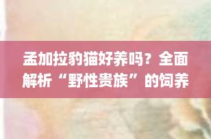 孟加拉豹猫好养吗？全面解析“野性贵族”的饲养真相（2025最新指南）