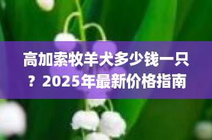高加索牧羊犬多少钱一只？2025年最新价格指南与选购全攻略