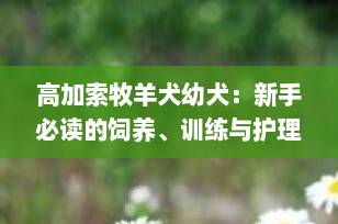 高加索牧羊犬幼犬：新手必读的饲养、训练与护理全攻略（2025最新版）
