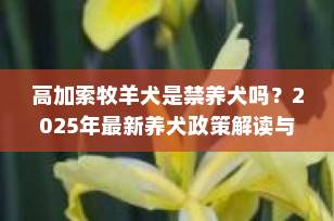 高加索牧羊犬是禁养犬吗？2025年最新养犬政策解读与合法饲养指南