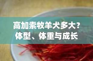 高加索牧羊犬多大？体型、体重与成长全解析（2025最新指南）