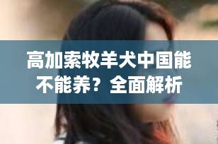 高加索牧羊犬中国能不能养？全面解析饲养政策与注意事项