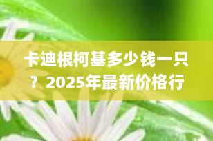 卡迪根柯基多少钱一只？2025年最新价格行情与选购全攻略