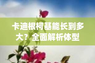 卡迪根柯基能长到多大？全面解析体型、体重与饲养要点（2025最新指南）