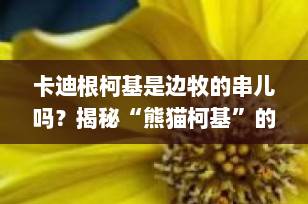 卡迪根柯基是边牧的串儿吗？揭秘“熊猫柯基”的真实身份！