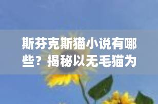 斯芬克斯猫小说有哪些？揭秘以无毛猫为灵感的文学与网络创作