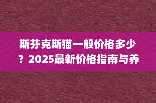 斯芬克斯猫一般价格多少？2025最新价格指南与养护成本全解析
