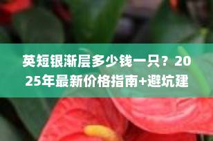 英短银渐层多少钱一只？2025年最新价格指南+避坑建议，养猫必看！