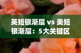 英短银渐层 vs 美短银渐层：5大关键区别，教你一眼分辨！