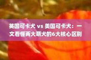 英国可卡犬 vs 美国可卡犬：一文看懂两大萌犬的6大核心区别｜宠物知识科普