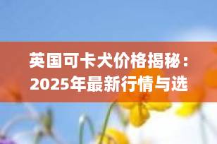 英国可卡犬价格揭秘：2025年最新行情与选购全攻略