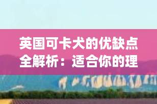 英国可卡犬的优缺点全解析：适合你的理想伴侣犬吗？