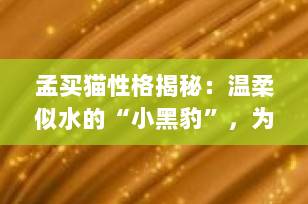 孟买猫性格揭秘：温柔似水的“小黑豹”，为何被称为猫界的“蒙娜丽莎”？