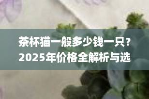 茶杯猫一般多少钱一只？2025年价格全解析与选购避坑指南