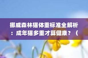 挪威森林猫体重标准全解析：成年猫多重才算健康？（2025最新指南）