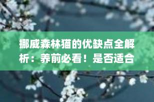挪威森林猫的优缺点全解析：养前必看！是否适合你家？