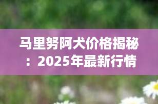 马里努阿犬价格揭秘：2025年最新行情与选购指南