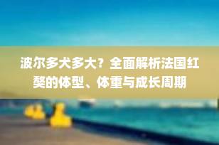 波尔多犬多大？全面解析法国红獒的体型、体重与成长周期