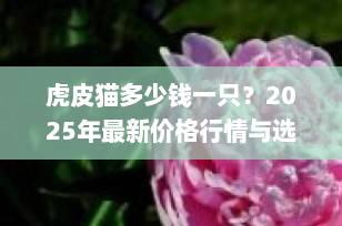 虎皮猫多少钱一只？2025年最新价格行情与选购全攻略