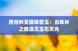 西伯利亚猫眼碧玉：当森林之瞳遇见玉石灵光