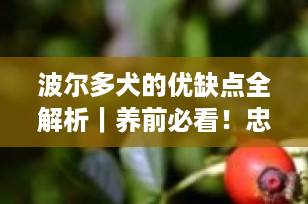 波尔多犬的优缺点全解析｜养前必看！忠诚猛犬还是家庭隐患？