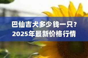 巴仙吉犬多少钱一只？2025年最新价格行情与饲养全攻略