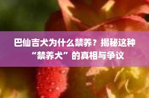 巴仙吉犬为什么禁养？揭秘这种“禁养犬”的真相与争议