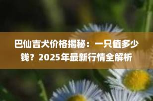 巴仙吉犬价格揭秘：一只值多少钱？2025年最新行情全解析