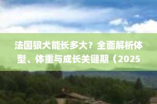 法国狼犬能长多大？全面解析体型、体重与成长关键期（2025最新指南）