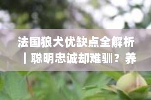 法国狼犬优缺点全解析｜聪明忠诚却难驯？养前必看的深度评测