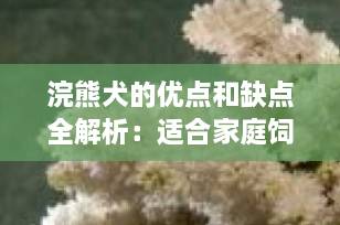 浣熊犬的优点和缺点全解析：适合家庭饲养吗？