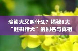 浣熊犬又叫什么？揭秘6大“赶树猎犬”的别名与真相