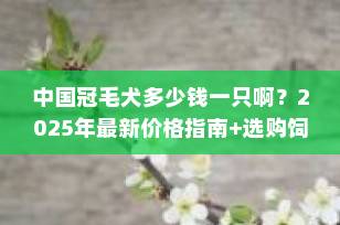 中国冠毛犬多少钱一只啊？2025年最新价格指南+选购饲养全攻略