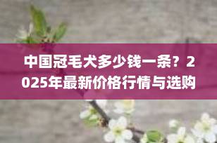 中国冠毛犬多少钱一条？2025年最新价格行情与选购全攻略