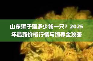 山东狮子猫多少钱一只？2025年最新价格行情与饲养全攻略