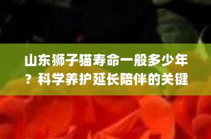 山东狮子猫寿命一般多少年？科学养护延长陪伴的关键秘诀